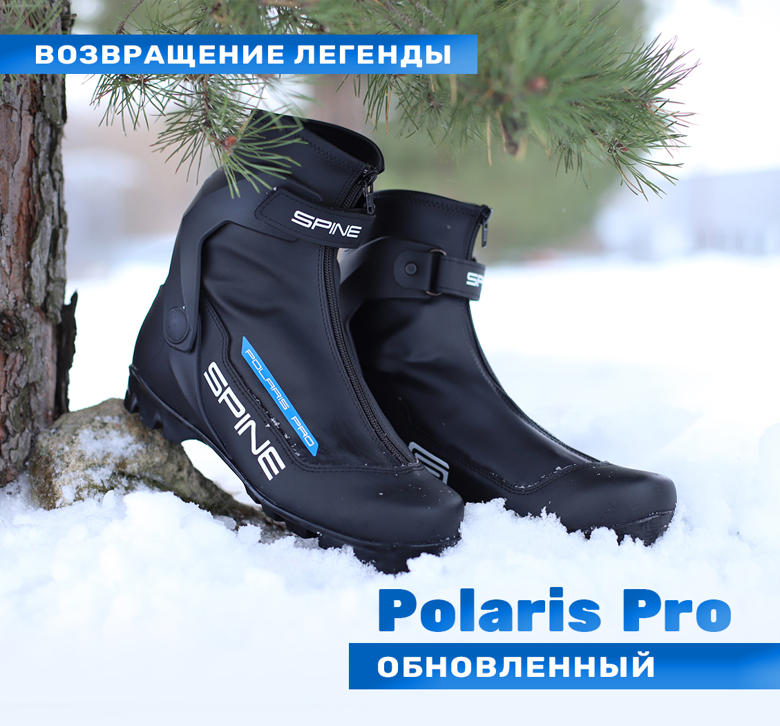 Polaris Pro 385